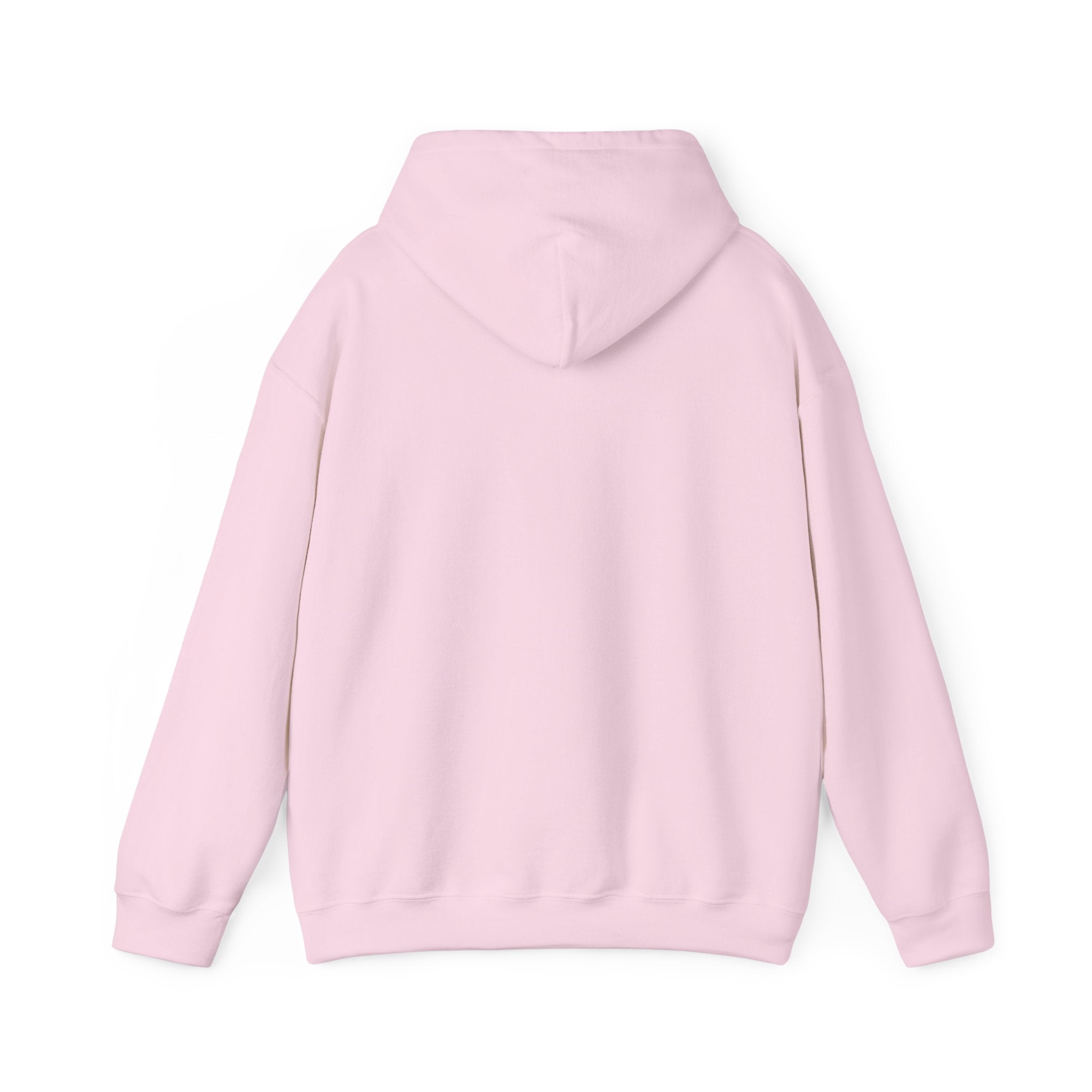 Sea Whisker Archives Hoodie — Nautical Cat Logo Pullover