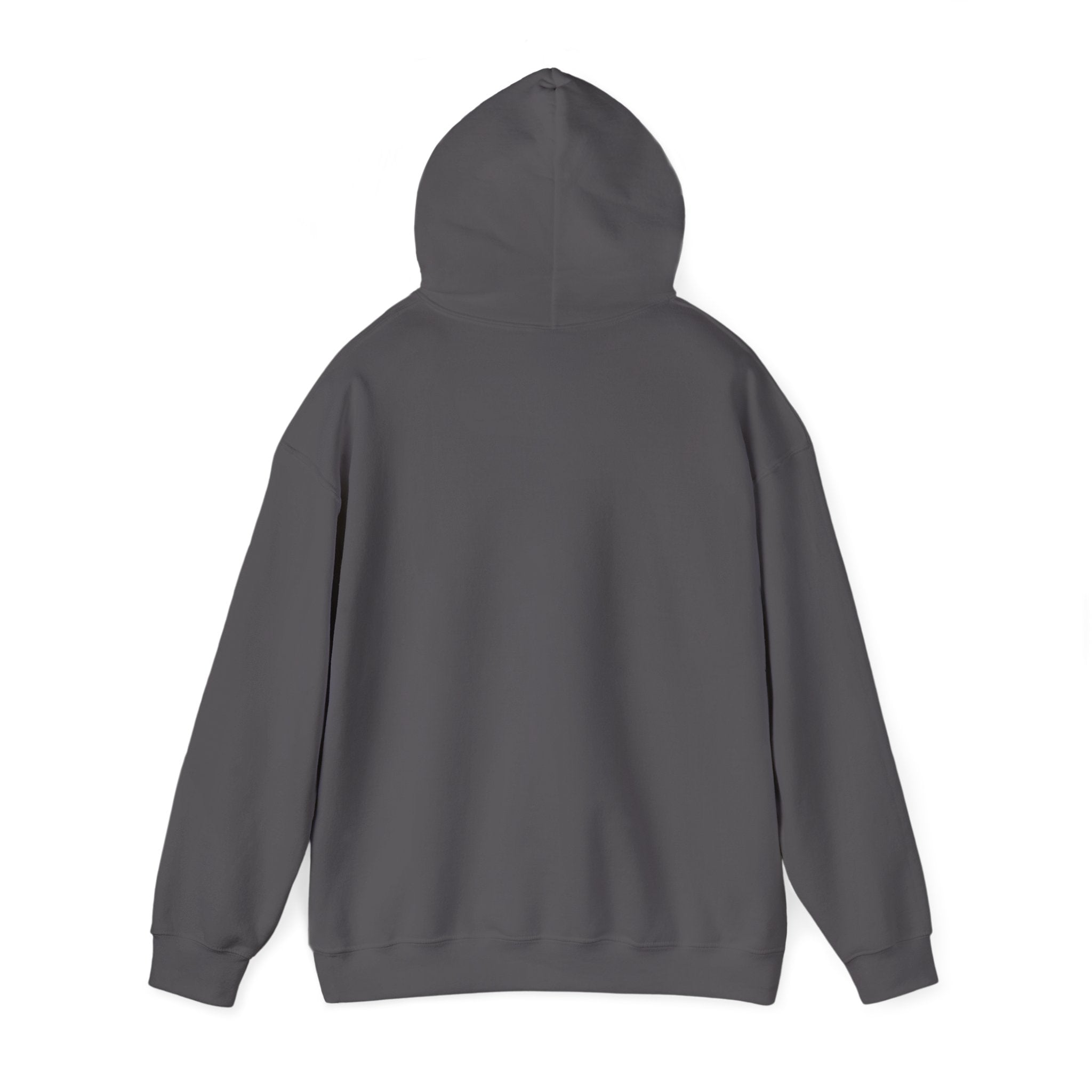 Sea Whisker Archives Hoodie — Nautical Cat Logo Pullover