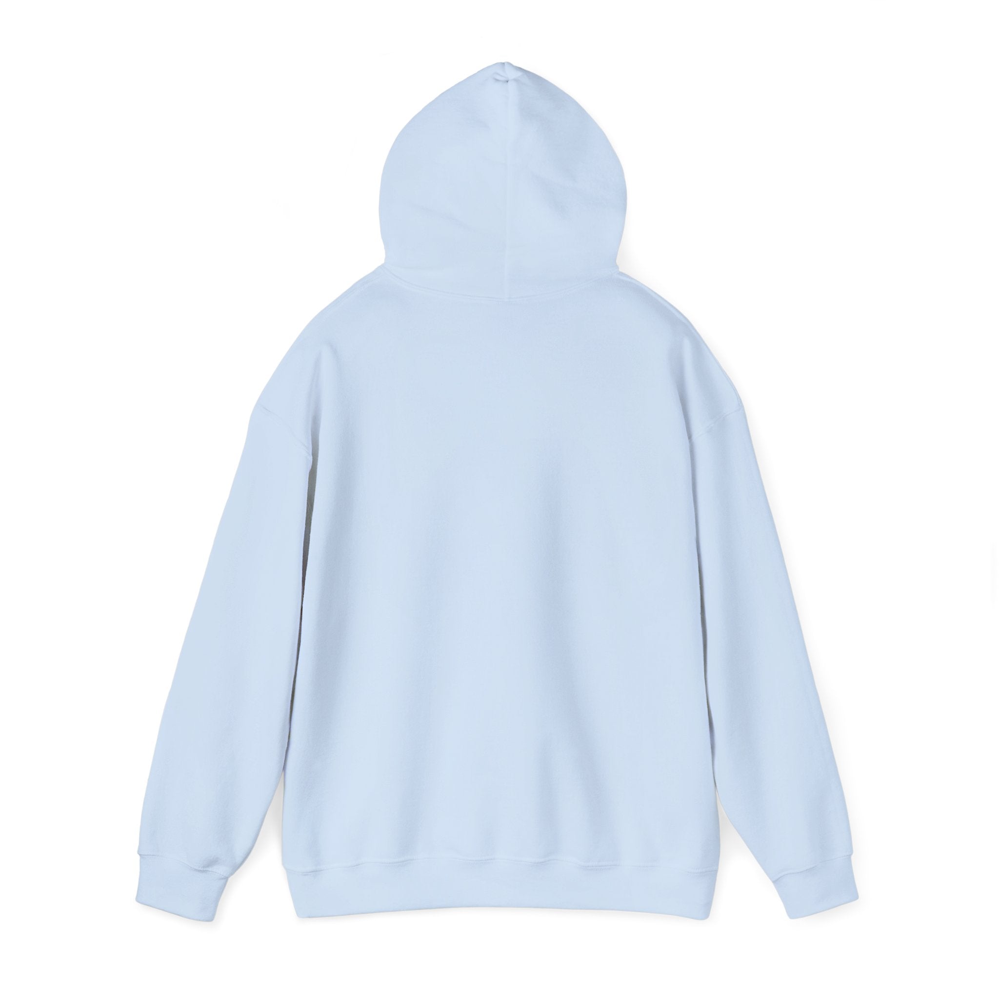 Sea Whisker Archives Hoodie — Nautical Cat Logo Pullover
